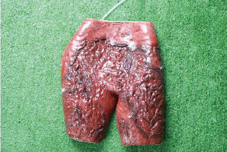 佩戴式創(chuàng  )傷四肢模擬組件