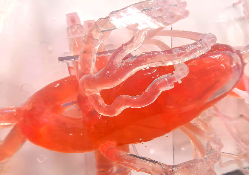 血管介入治療模擬訓練平臺